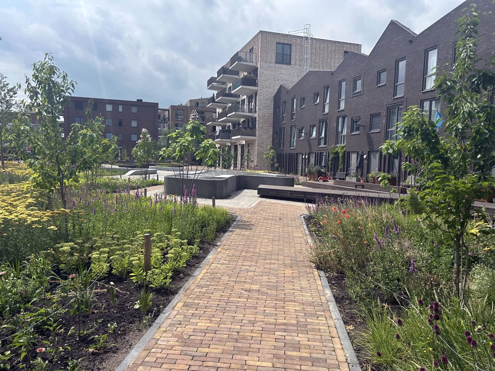 trainingslocatie rouw en verlies